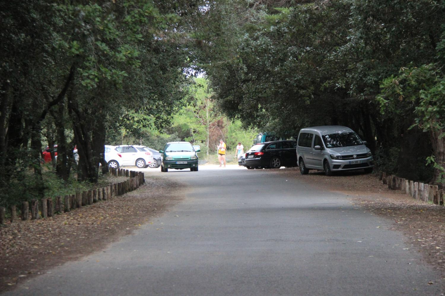 Réaménagement durable de la plage Plaisance-Foulerot | GIP Littoral